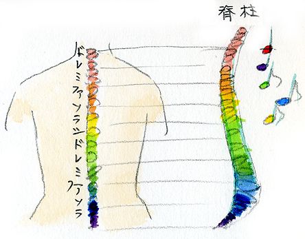 脊椎と音楽のドレミは同調している